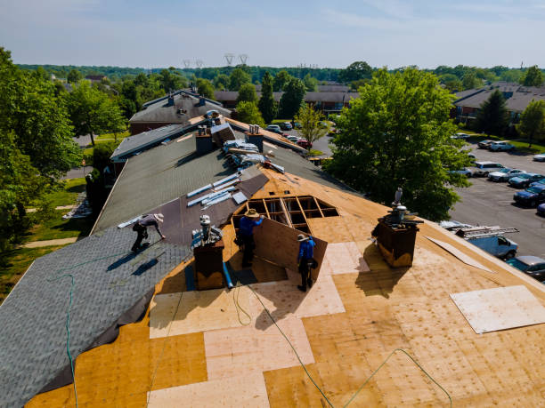 Best Storm Damage Roof Repair  in Badieville, LA